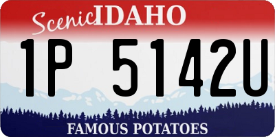 ID license plate 1P5142U