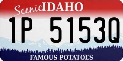 ID license plate 1P5153Q