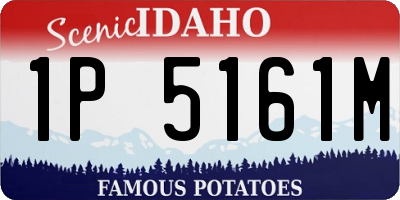 ID license plate 1P5161M