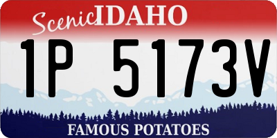 ID license plate 1P5173V