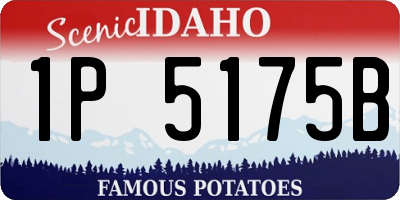 ID license plate 1P5175B