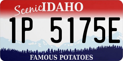 ID license plate 1P5175E