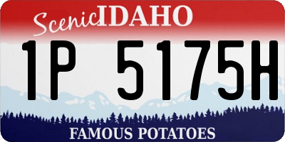 ID license plate 1P5175H