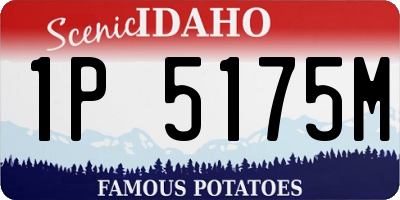 ID license plate 1P5175M