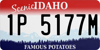 ID license plate 1P5177M