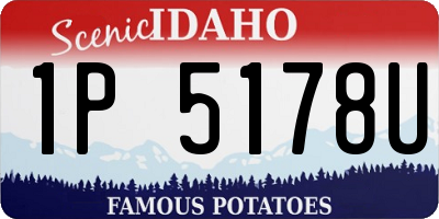 ID license plate 1P5178U