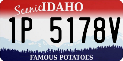 ID license plate 1P5178V