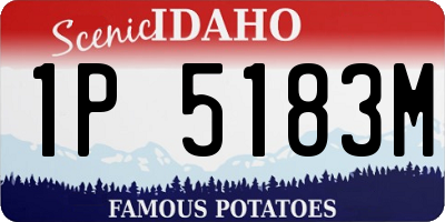 ID license plate 1P5183M