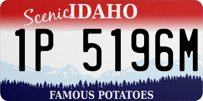 ID license plate 1P5196M