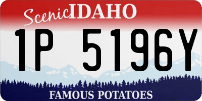 ID license plate 1P5196Y