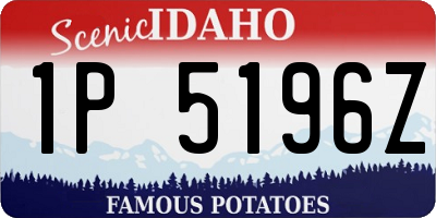ID license plate 1P5196Z