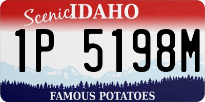 ID license plate 1P5198M