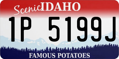 ID license plate 1P5199J