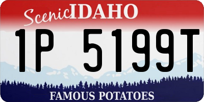 ID license plate 1P5199T