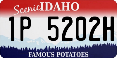 ID license plate 1P5202H