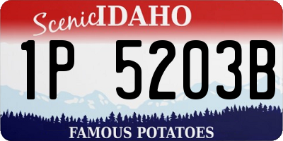 ID license plate 1P5203B
