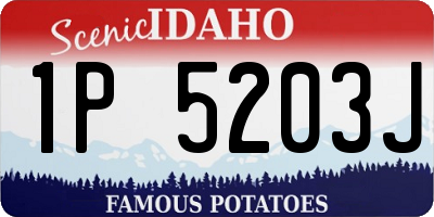 ID license plate 1P5203J