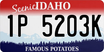 ID license plate 1P5203K