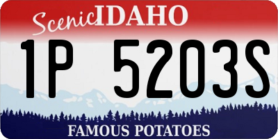 ID license plate 1P5203S