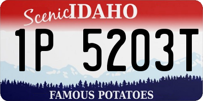 ID license plate 1P5203T