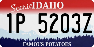 ID license plate 1P5203Z