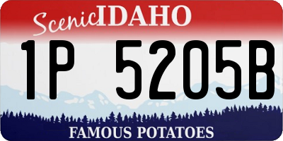 ID license plate 1P5205B