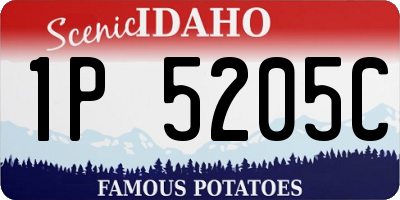 ID license plate 1P5205C