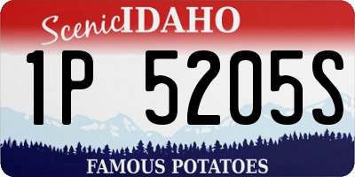 ID license plate 1P5205S