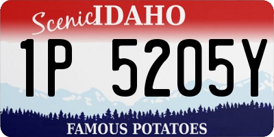 ID license plate 1P5205Y