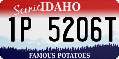 ID license plate 1P5206T