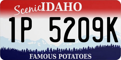 ID license plate 1P5209K
