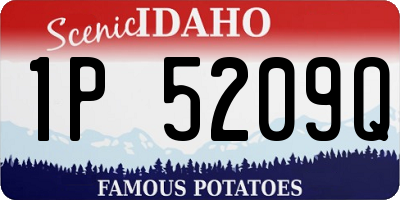 ID license plate 1P5209Q