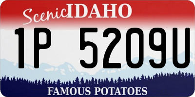 ID license plate 1P5209U