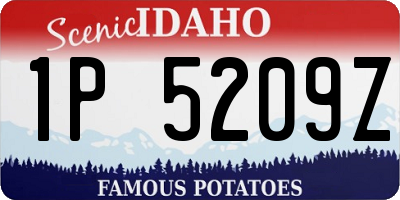 ID license plate 1P5209Z