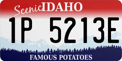 ID license plate 1P5213E