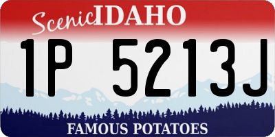 ID license plate 1P5213J