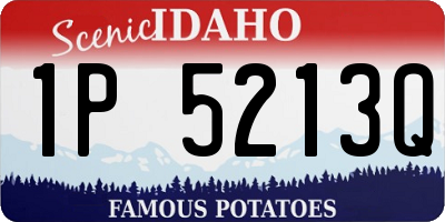 ID license plate 1P5213Q