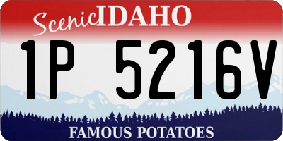 ID license plate 1P5216V