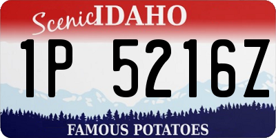 ID license plate 1P5216Z