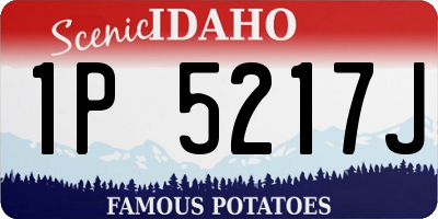 ID license plate 1P5217J