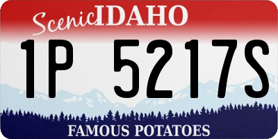 ID license plate 1P5217S