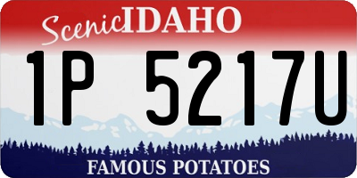 ID license plate 1P5217U