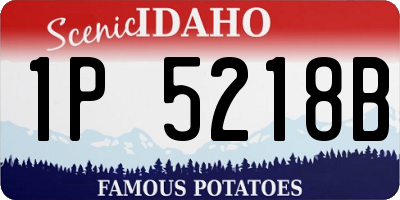 ID license plate 1P5218B