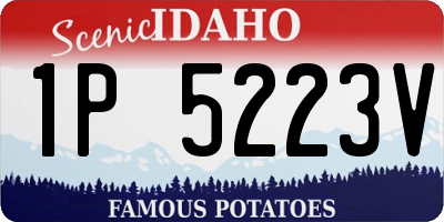 ID license plate 1P5223V