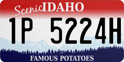 ID license plate 1P5224H