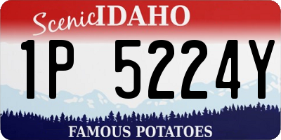 ID license plate 1P5224Y