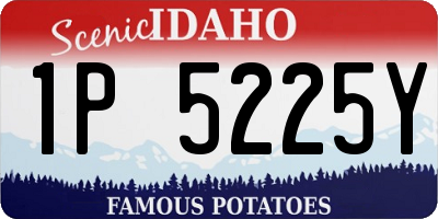 ID license plate 1P5225Y