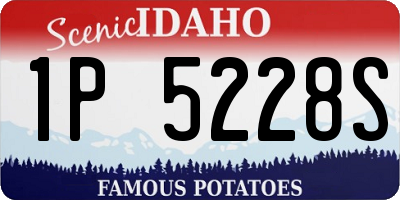 ID license plate 1P5228S