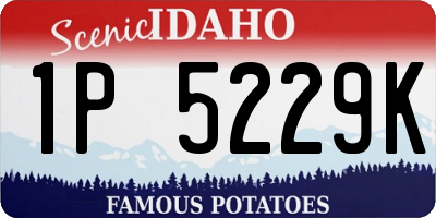 ID license plate 1P5229K