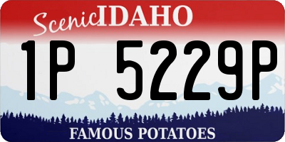 ID license plate 1P5229P
